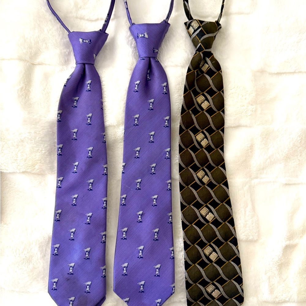Elegant Purple and Black Ties Set